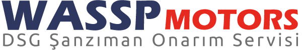 Trabzon DSG Şanzıman Servisi - WASSP Motors